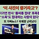http://www.ldtv.kr/data/apms/video/youtube/thumb-2K4rq-mPuZY_80x80.jpg