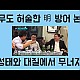 http://www.ldtv.kr/data/apms/video/youtube/thumb-6feAbEMxE14_80x80.jpg