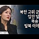http://www.ldtv.kr/data/apms/video/youtube/thumb-CAKh_9EojoY_80x80.jpg