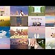 http://www.ldtv.kr/data/apms/video/youtube/thumb-DgtY1F99BA4_80x80.jpg