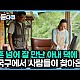 http://www.ldtv.kr/data/apms/video/youtube/thumb-oapzCfbfLxI_80x80.jpg
