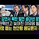 http://www.ldtv.kr/data/apms/video/youtube/thumb-toyKzlvlMBA_80x80.jpg